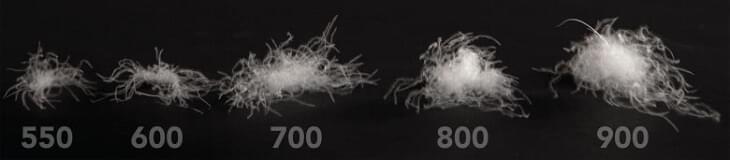 Met cuin ofwel downvulling word de isolerende kracht van dons veertjes bepaald