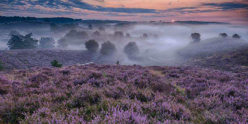 Wandelen in Nederland