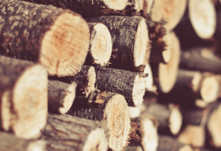 Verschillende brandstoffen en BBQ's