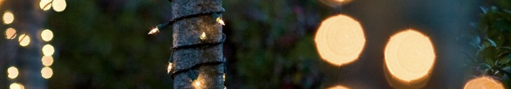 Genieten van zomerse avonden!