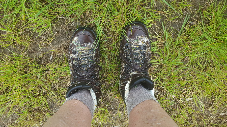 Gastblog: Voorbereiden op de Nijmeegse Vierdaagse