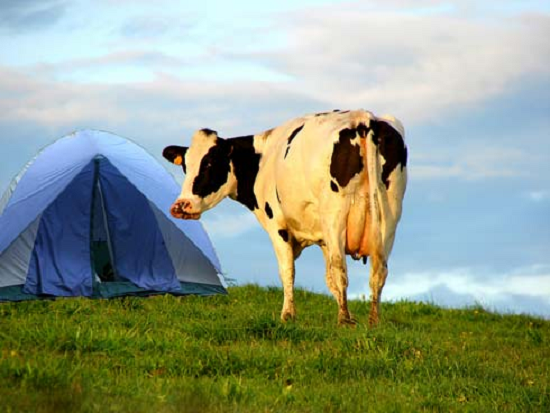 Kamperen voor ieder budget