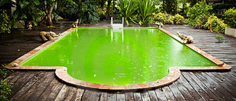 Zwembad, Waterstress of waterpret