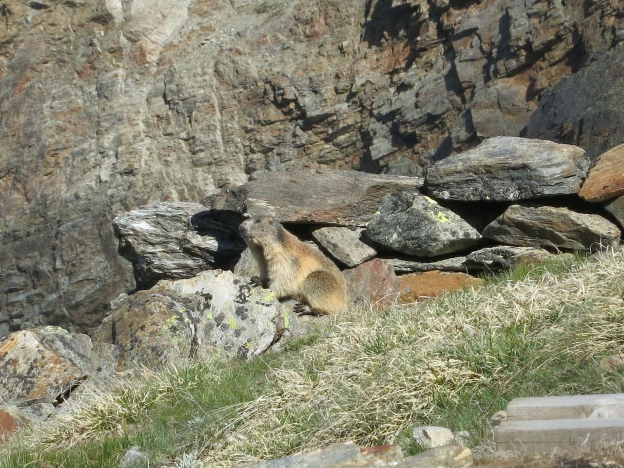 Beklimming van de J&auml;gihorn in Zwitserland