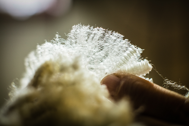 Fj&auml;llr&auml;ven Zweeds wol