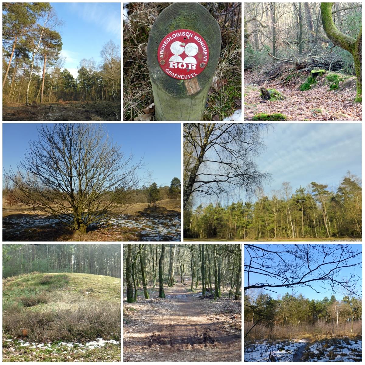 Kampeerwereld Hendriks wandelroute