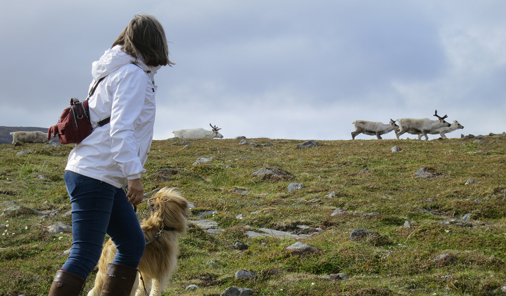 Op avontuur naar de Noordkaap