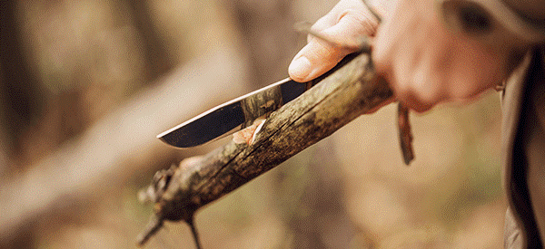 Gastblog - Wat is Bushcraft?