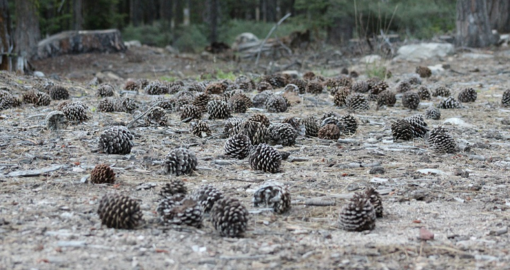 5 handige tips voor een goede nachtrust
