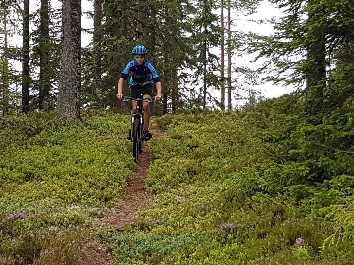 Reisverhaal: Thijs ging naar Zweden!