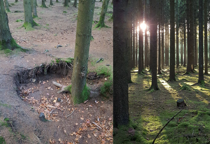 Reisverhaal - Herfst in de Ardennen