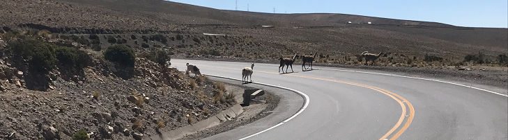 Reisverhaal - Avonturen in Peru 