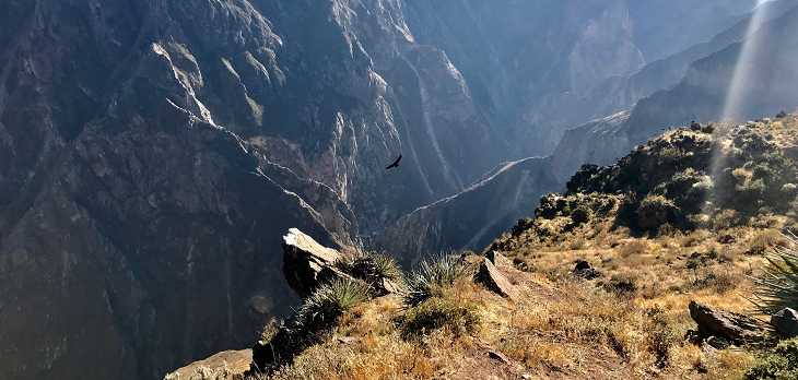 Reisverhaal - Avonturen in Peru 