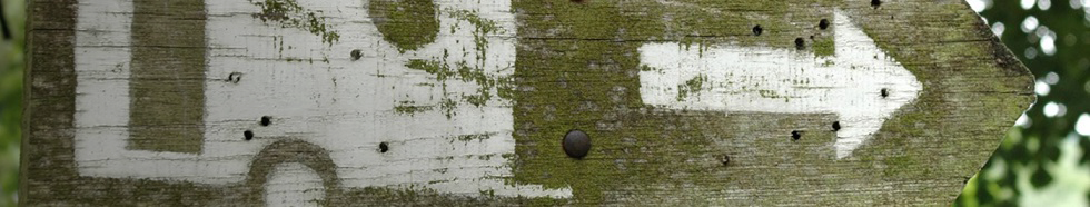 Het favoriete product van... Thom