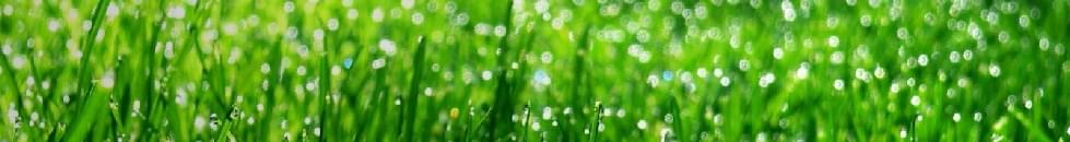 Het favoriete product van: Wouter