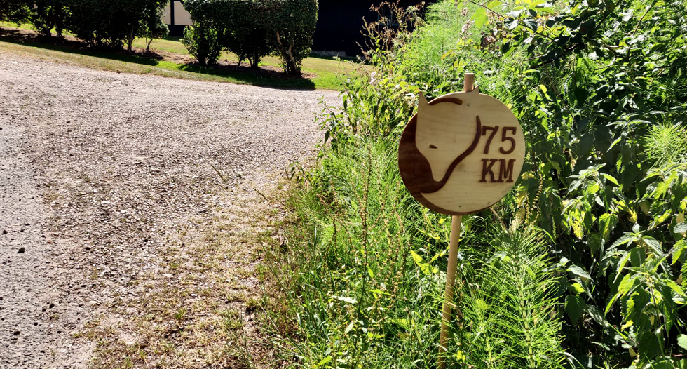 Laurens liep de Fj&auml;llr&auml;ven Classic in Denemarken