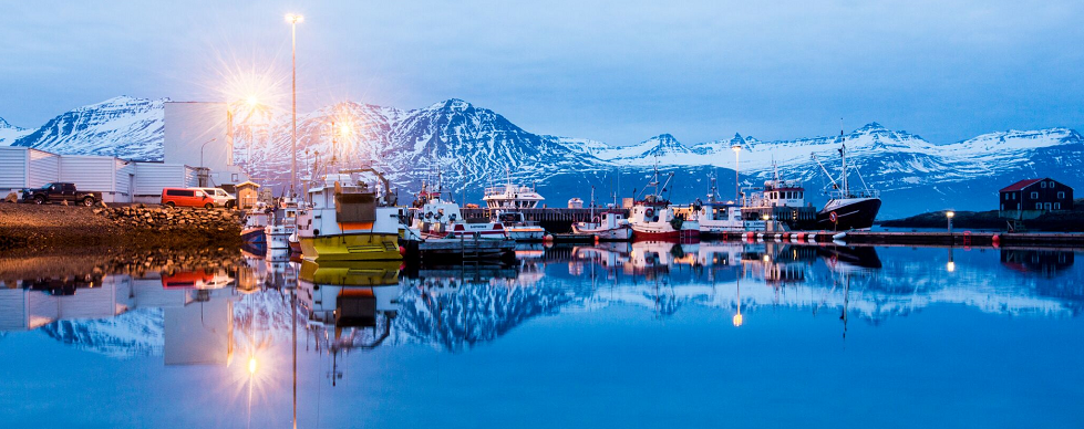 Roadtrip door IJsland