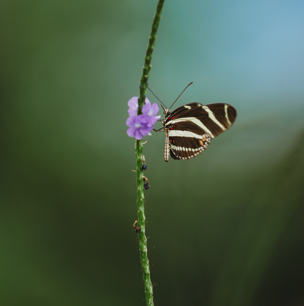 De allermooiste foto's op jouw reis!