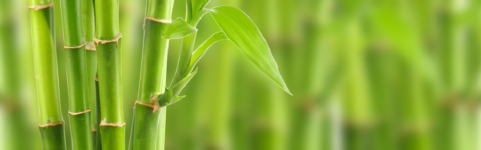 KCK Minitest; de Human Comfort Gentilly en Ablis