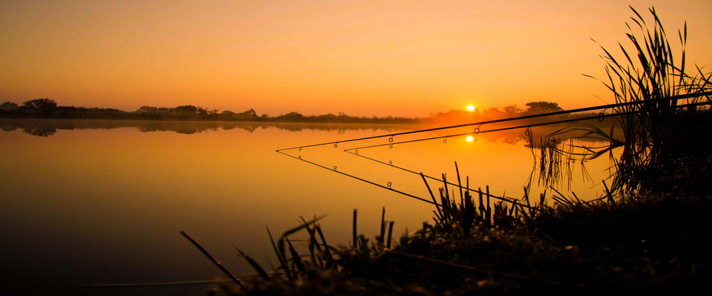 Optuigen Feeder en Winckle Picker Hengel