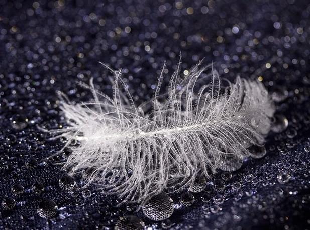 - Een donsjas wassen doe je zo