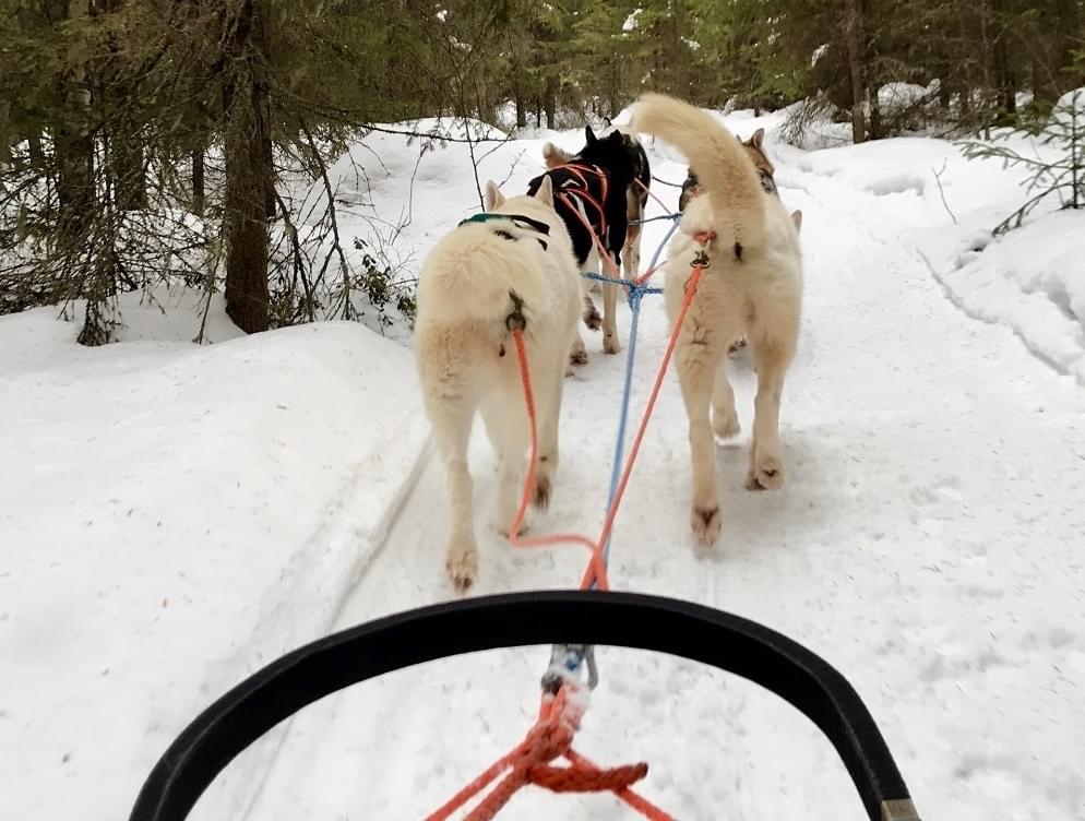 Reisverhaal &ndash; Op avontuur in Finland