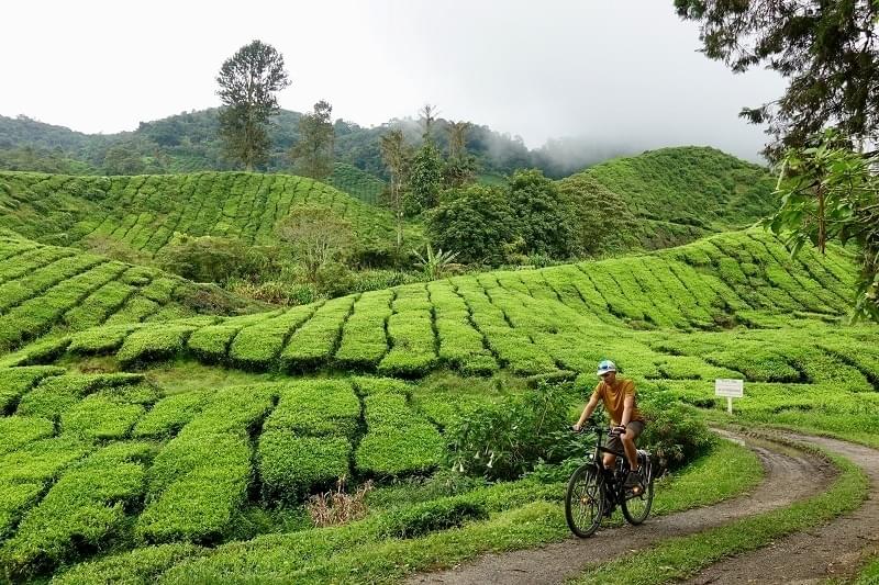 Tevreden terugkijken op een fantastisch fietsavontuur naar China