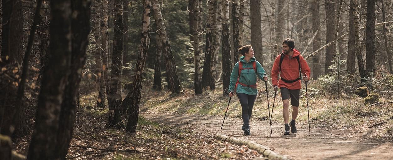 Actief in eigen land