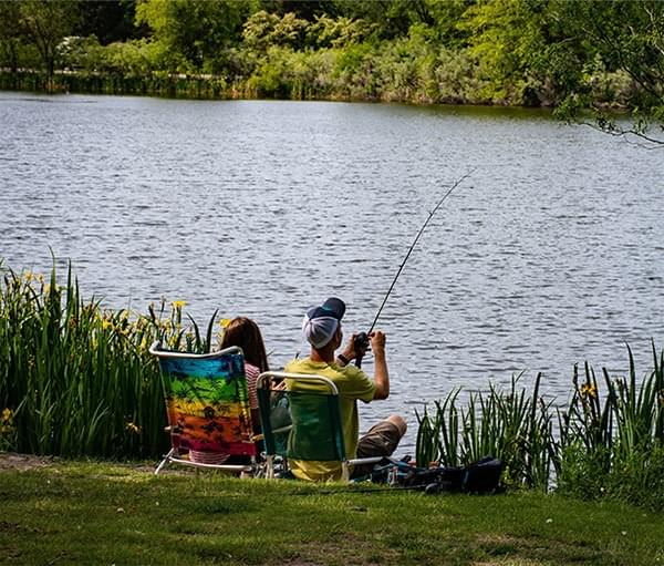 Actief in eigen land