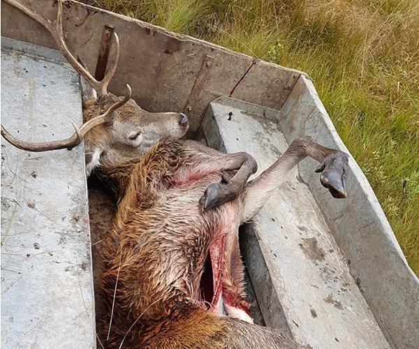 Kamperen in Schotland: 3 dagen zelfvoorzienend in het wild