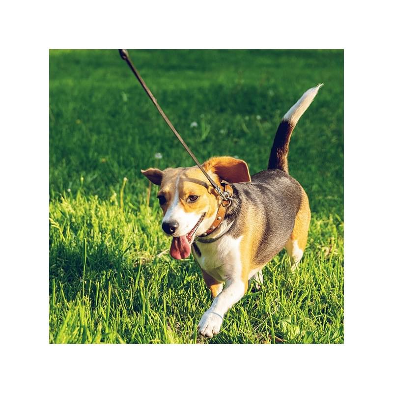 Mijn werkdag - Een dagje meelopen met Elise