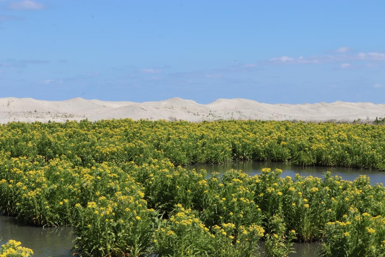 Wandelroutes in eigen land