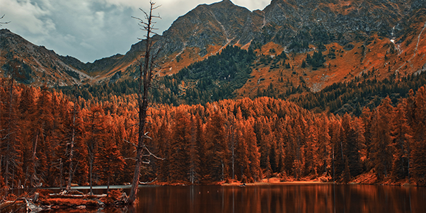 Kamperen buiten het hoogseizoen: Herfst