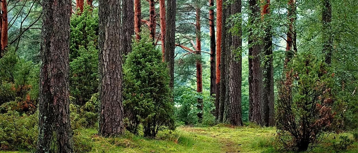 Meer naar buiten? Tips en tricks 