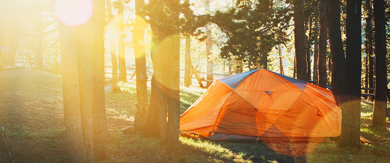 Zo word jij een tentenkenner in de dop