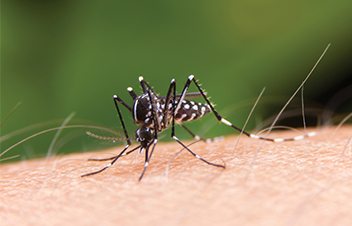 Care Plus Informatie