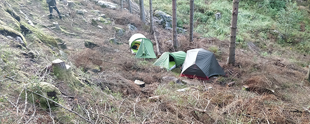 Bart zijn tips over Noorwegen