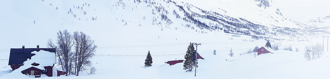 Avontuur boven de poolcirkel