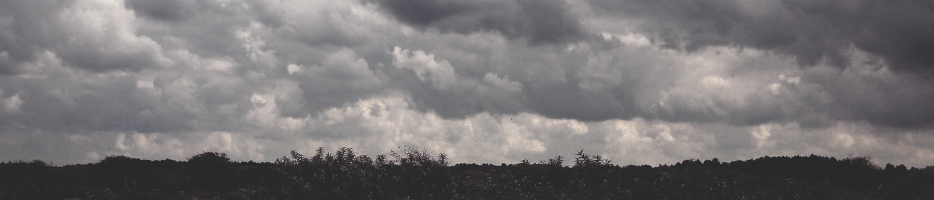 Welke stormbanden heb ik nodig?