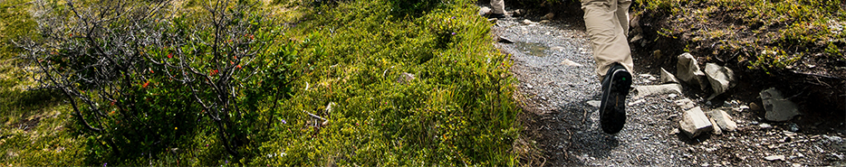 Hulp bij het bestellen van wandelschoenen