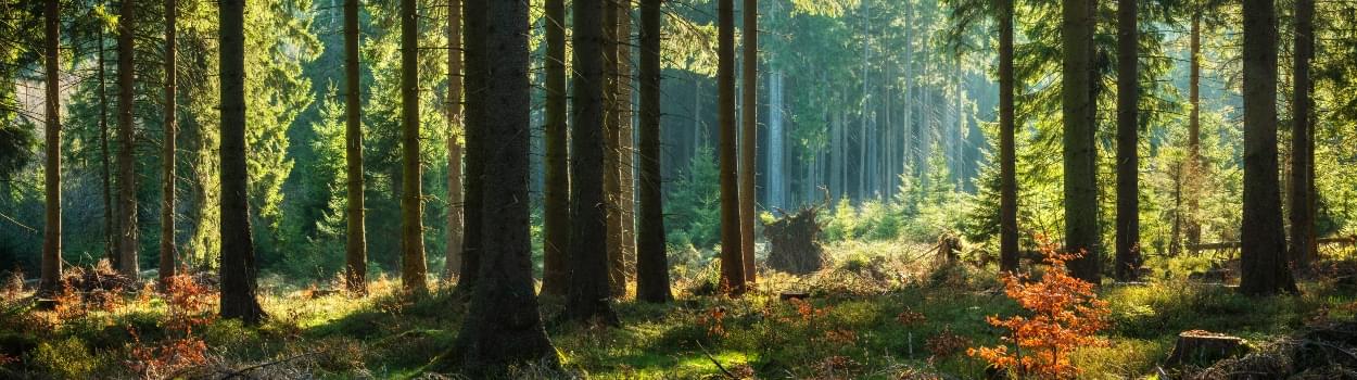 Reisverhaal - Kamperen met Joost 
