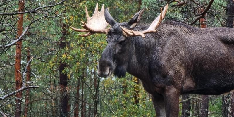 Mee op vakantie met Bart