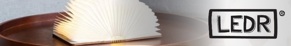 LEDR