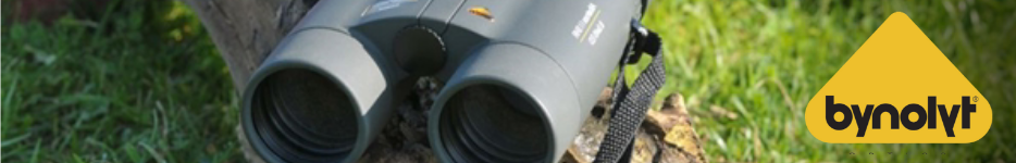 Bynolyt