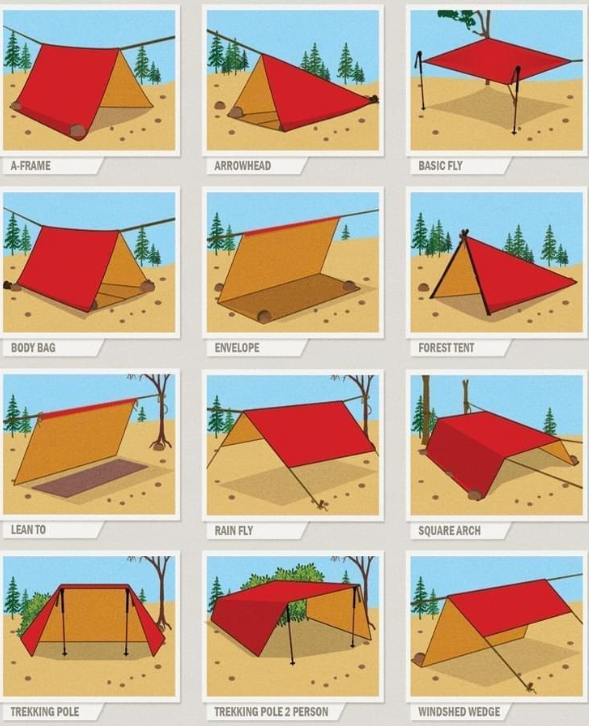 De wondere wereld van de Tarp